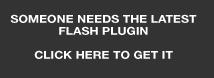 You need the flash player